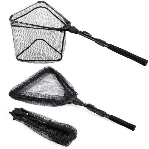 Fishing net fish floating - fishing,